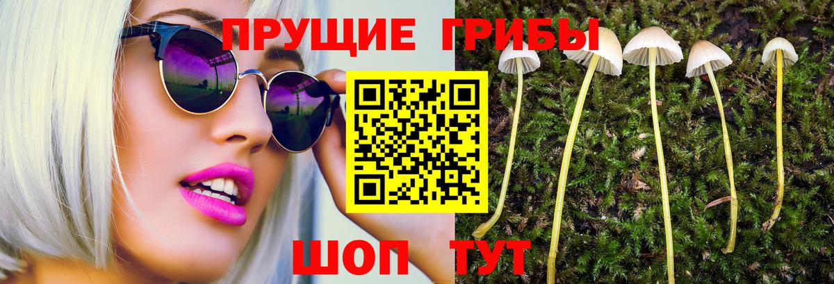 Галлюциногенные грибы прущие грибы Бузулук