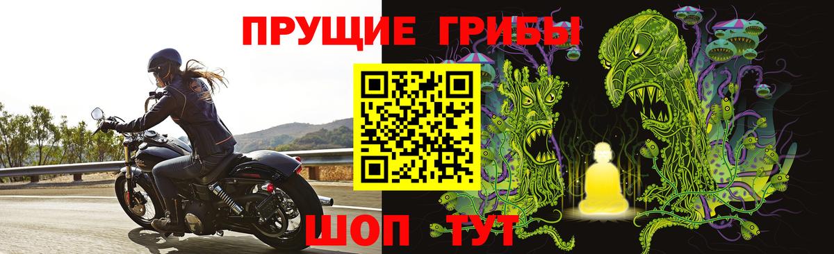 Галлюциногенные грибы Cubensis  Вход с VPN  Бузулук 